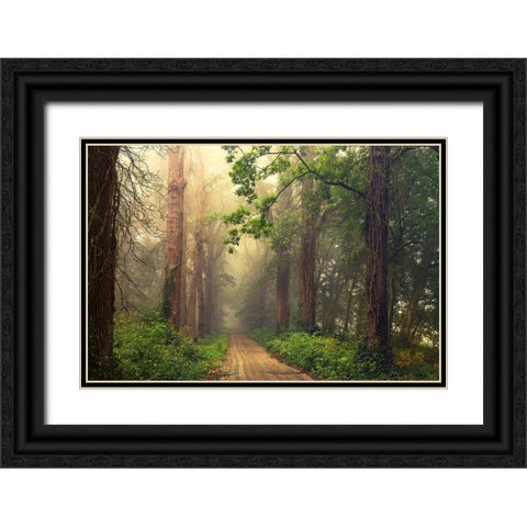After Summer Black Ornate Wood Framed Art Print with Double Matting by Van Dongen, Anton