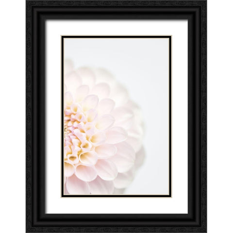 Pink Flower No2 Black Ornate Wood Framed Art Print with Double Matting by 1x Studio III