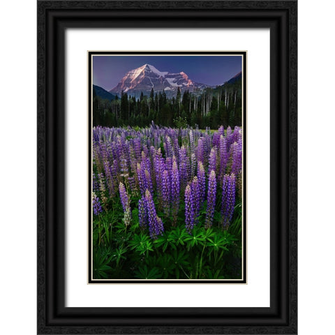 Mt Robson Black Ornate Wood Framed Art Print with Double Matting by Poushkina, Marina