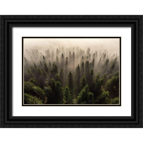 The Army Of Firs Black Ornate Wood Framed Art Print with Double Matting by Ioan Ovidiu, Lazar