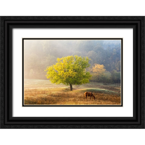 Tree Of Life Black Ornate Wood Framed Art Print with Double Matting by Prioteasa, Sebastian