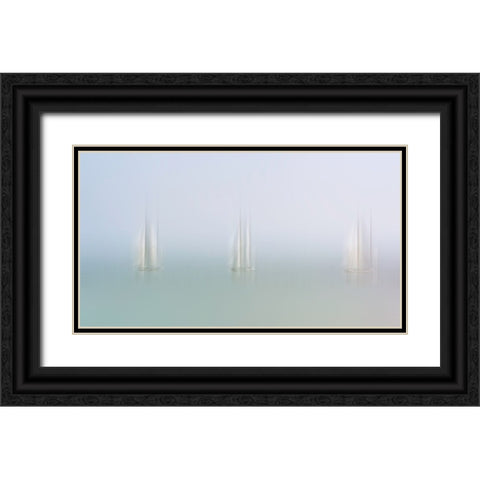 Serenity Black Ornate Wood Framed Art Print with Double Matting by van Son, Greetje