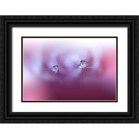 Two Worlds...II Black Ornate Wood Framed Art Print with Double Matting by Nan, Juliana