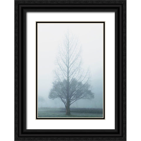 Two Trees Black Ornate Wood Framed Art Print with Double Matting by Allen, Elizabeth