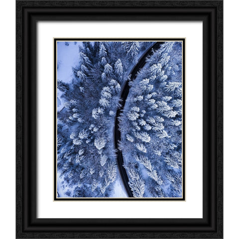 The road not taken Black Ornate Wood Framed Art Print with Double Matting by Razvan