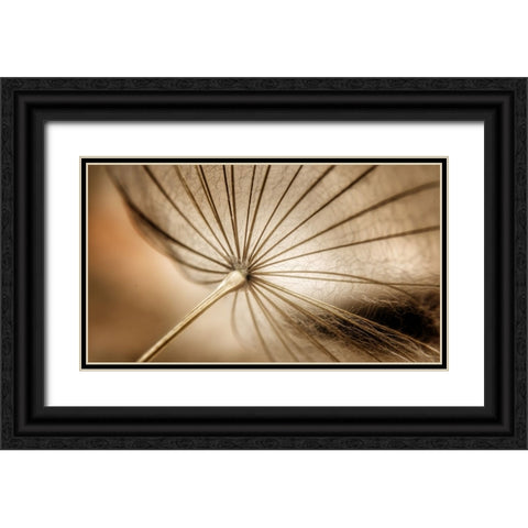 Nature blood vessels Black Ornate Wood Framed Art Print with Double Matting by Pessach, Kobbie