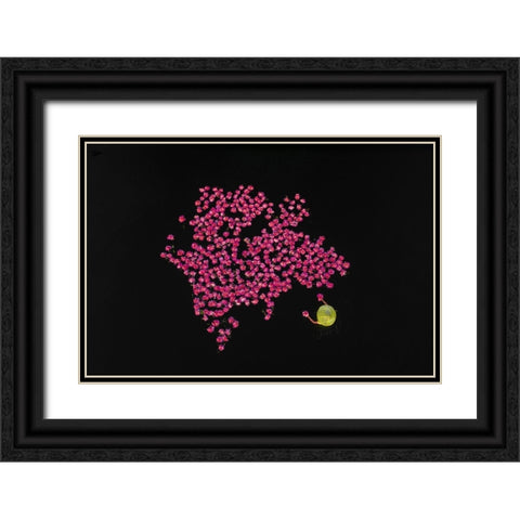 Harvesting water lilies Black Ornate Wood Framed Art Print with Double Matting by Tanvir