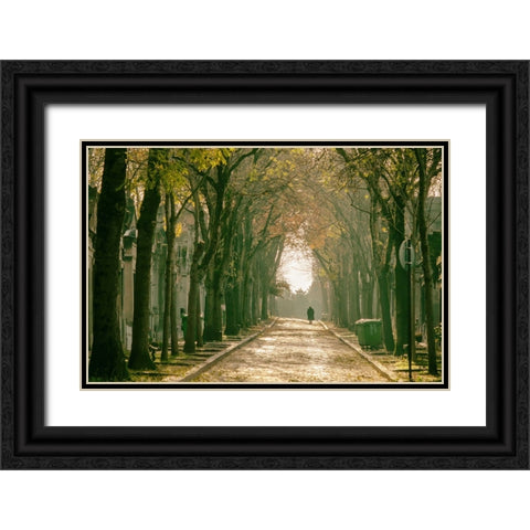 Untitled Black Ornate Wood Framed Art Print with Double Matting by Tiryakioglu, Mustafa