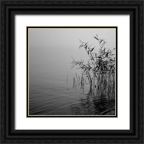 Mist over the lake 2021 Black Ornate Wood Framed Art Print with Double Matting by Riis, Poul-Erik