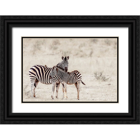 Motherhood Black Ornate Wood Framed Art Print with Double Matting by Visagie, Ane