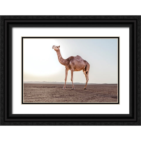 Untitled Black Ornate Wood Framed Art Print with Double Matting by Visagie, Ane