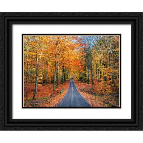Road into autumn Black Ornate Wood Framed Art Print with Double Matting by Lindsten, Christian