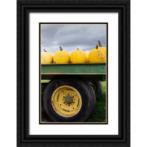 Driving Pumpkins Black Ornate Wood Framed Art Print with Double Matting by Lou, Linda