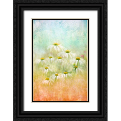 Subtle Summer Black Ornate Wood Framed Art Print with Double Matting by Parker, Jacky
