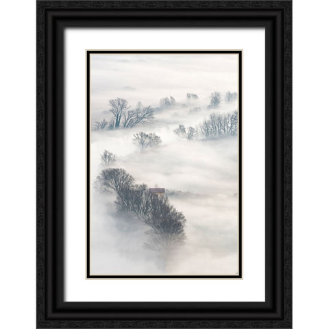 Trees In The Fog Black Ornate Wood Framed Art Print with Double Matting by Galimberti, Marco