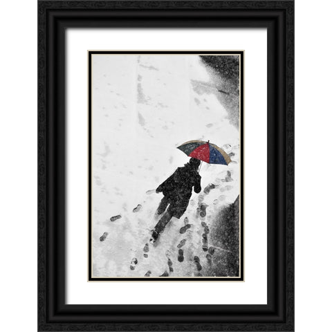 Winter Passengers Black Ornate Wood Framed Art Print with Double Matting by Gabor, Nicoleta