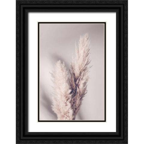 Pampas Grass Black Ornate Wood Framed Art Print with Double Matting by 1x Studio III