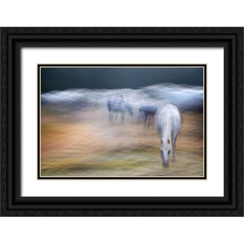 On the pasture Black Ornate Wood Framed Art Print with Double Matting by Malovrh, Milan