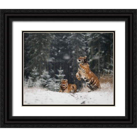 It Is Snowing Black Ornate Wood Framed Art Print with Double Matting by Firesova, Michaela