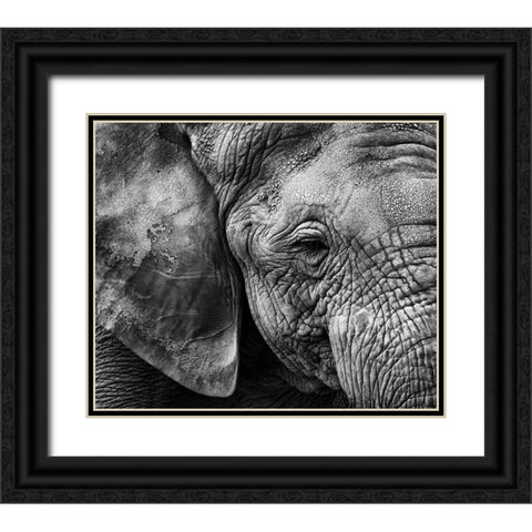Elephant Skin Black Ornate Wood Framed Art Print with Double Matting by Garcia, Helena