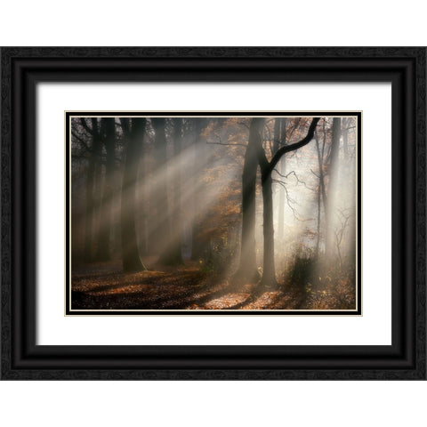 Morning-walk Black Ornate Wood Framed Art Print with Double Matting by Lathouwers, Liliane