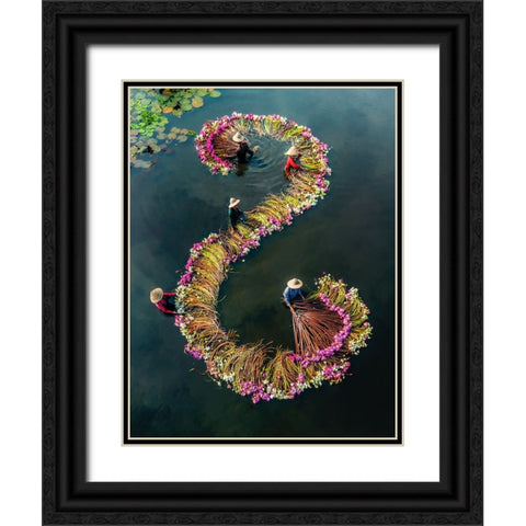 Harvesting water lilies v15 Black Ornate Wood Framed Art Print with Double Matting by Tan Tuan, Nguyen