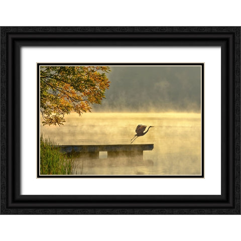 Morning flight Black Ornate Wood Framed Art Print with Double Matting by Zhang, Eric