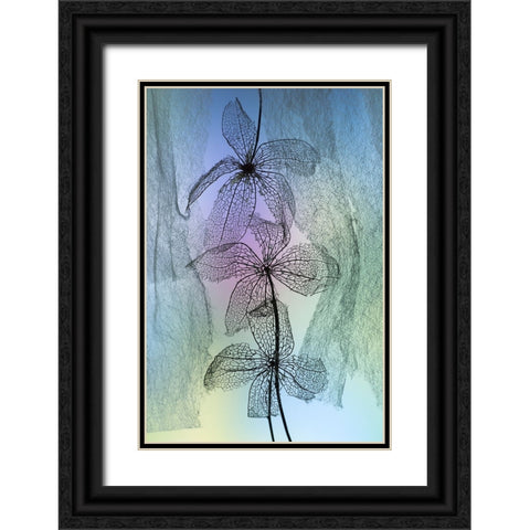 3 Flowers Black Ornate Wood Framed Art Print with Double Matting by Kowatari, Shihya