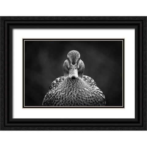 Look at me Black Ornate Wood Framed Art Print with Double Matting by Pfeiffer, Peter