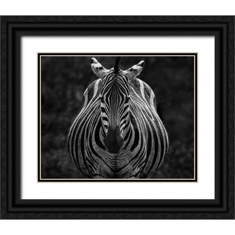 Stare Black Ornate Wood Framed Art Print with Double Matting by Chen, Jiong