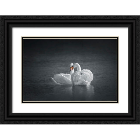 Public Display of Affection Black Ornate Wood Framed Art Print with Double Matting by Hu, Mei