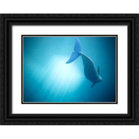 Velure Moana Black Ornate Wood Framed Art Print with Double Matting by Lintaman, Adachi