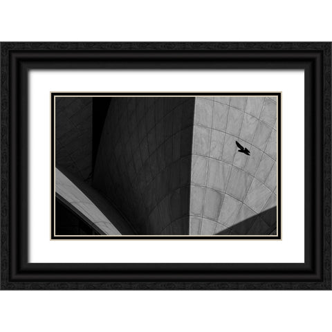 LOTUS TEMPLE Black Ornate Wood Framed Art Print with Double Matting by Chawla, Shobhit