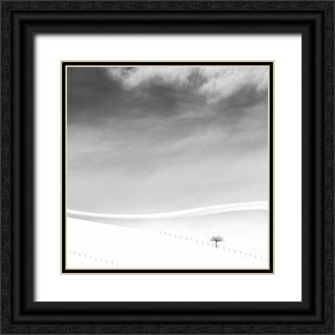 Single tree Black Ornate Wood Framed Art Print with Double Matting by Nodeh, Mostafa