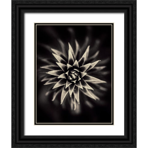 Star. Black Ornate Wood Framed Art Print with Double Matting by Salem, Saad