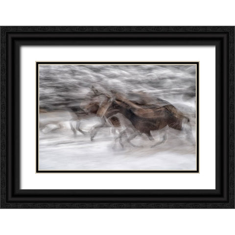 black dominance Black Ornate Wood Framed Art Print with Double Matting by Malovrh, Milan