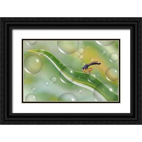 Migration To Another Planet... Black Ornate Wood Framed Art Print with Double Matting by Dufour, Thierry