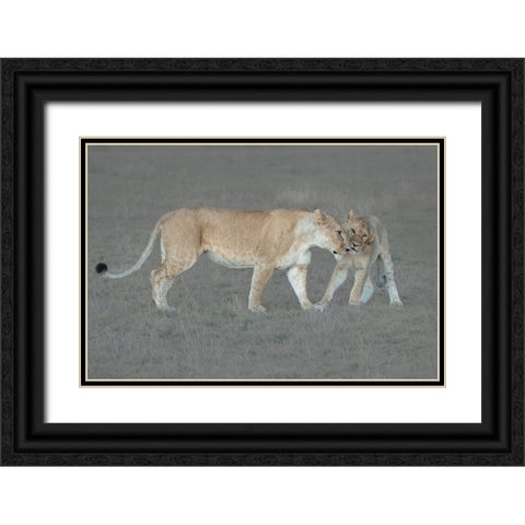 I love you, Mom! Black Ornate Wood Framed Art Print with Double Matting by Xu, Sheila