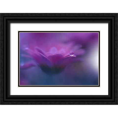 Without Form, Without Limit...II Black Ornate Wood Framed Art Print with Double Matting by Nan, Juliana