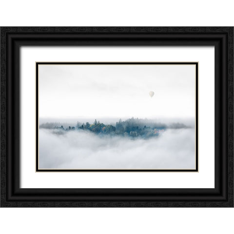 Misty Morning Surprise Black Ornate Wood Framed Art Print with Double Matting by Bergolth, Matthias