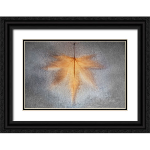Illusions Of The Past Black Ornate Wood Framed Art Print with Double Matting by Kiral, Cicek
