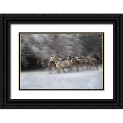 Winter joy Black Ornate Wood Framed Art Print with Double Matting by Malovrh, Milan