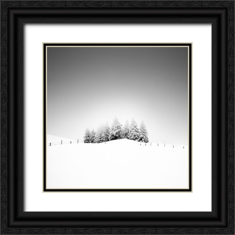 Cohesion Black Ornate Wood Framed Art Print with Double Matting by Schulz, Alexej