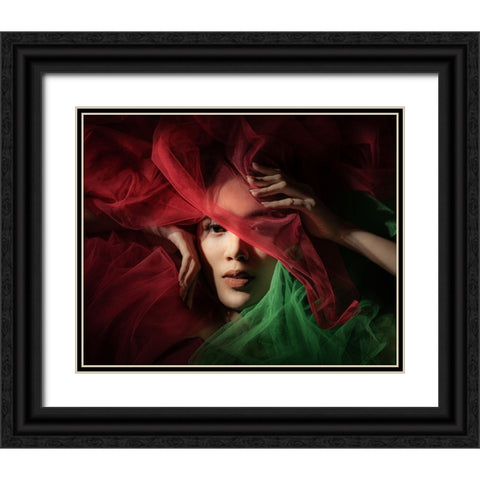 The Colors of Christmas Black Ornate Wood Framed Art Print with Double Matting by Sungkono, Heru