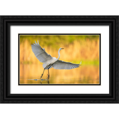 Cruising Around Black Ornate Wood Framed Art Print with Double Matting by Schlaf, Christopher