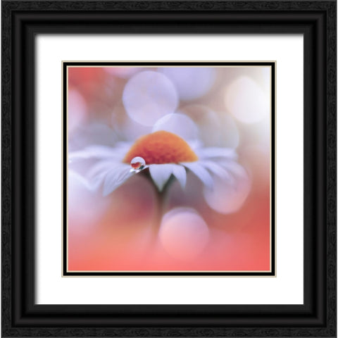 Summer Mood.. Black Ornate Wood Framed Art Print with Double Matting by Nan, Juliana