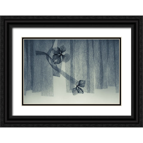 Ephemeral Beauty Black Ornate Wood Framed Art Print with Double Matting by Kowatari, Shihya