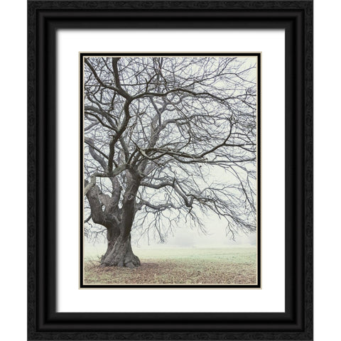 Field And Fog Black Ornate Wood Framed Art Print with Double Matting by Allen, Elizabeth