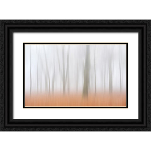 Misty Autumnimpression Black Ornate Wood Framed Art Print with Double Matting by Limberg, Huib