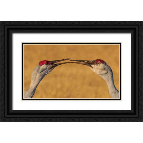 The Kiss Black Ornate Wood Framed Art Print with Double Matting by Xiao, Hanping